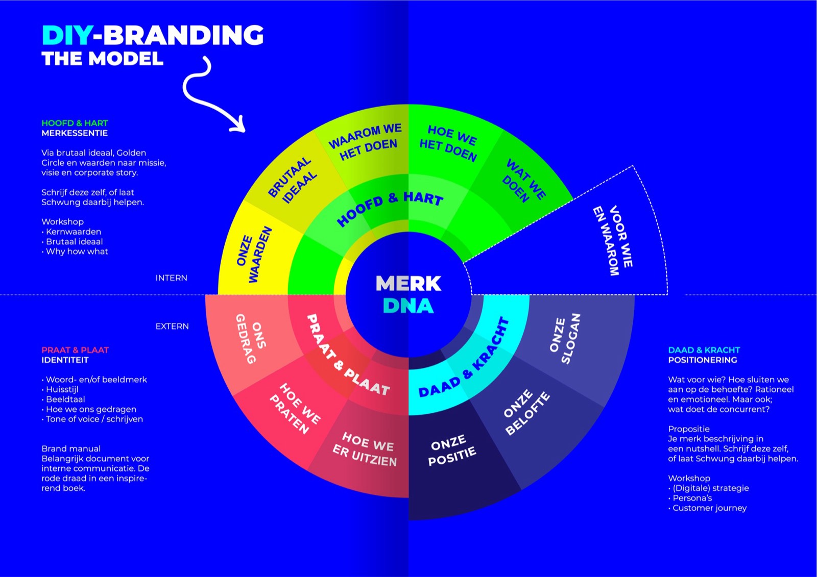 Het Schwung merkmodel: een wiel met in de kern het Merk-DNA, en daaromheen de lagen Hoofd & hart (merkessentie), Praat & plaat (identiteit) en Daad & kracht (positionering).