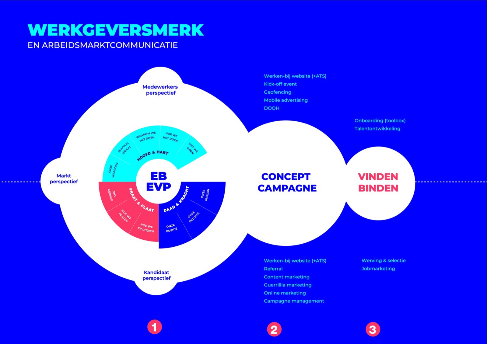 Het Schwung werkgeversmerk-model: in de kern EB/EVP, daaromheen het merkmodel (Hoofd & hart, Praat & plaat, Daad & kracht) en de perspectieven medewerker, kandidaat en markt, gevolgd door concept & campagne en het vinden & binden van medewerkers.